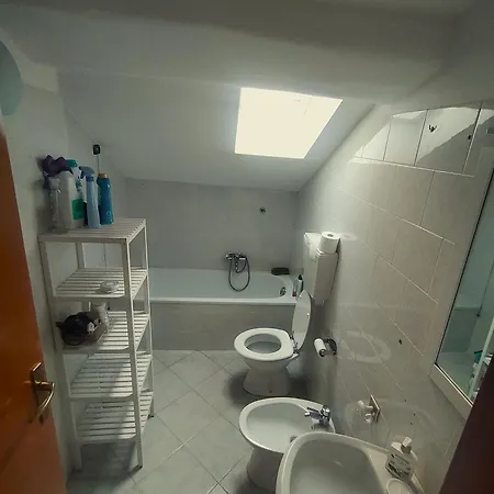 Bb Dadaumpa * 诺维里加雷