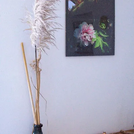 Bb Dadaumpa B&B 노비리구레