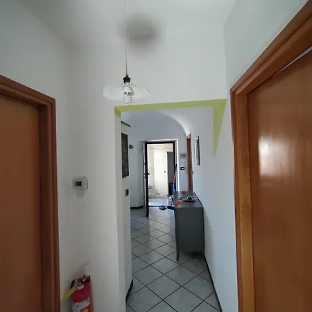 Bb Dadaumpa * 诺维里加雷