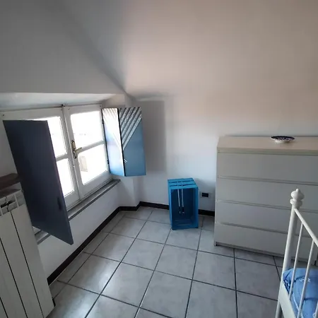 Bb Dadaumpa 诺维里加雷